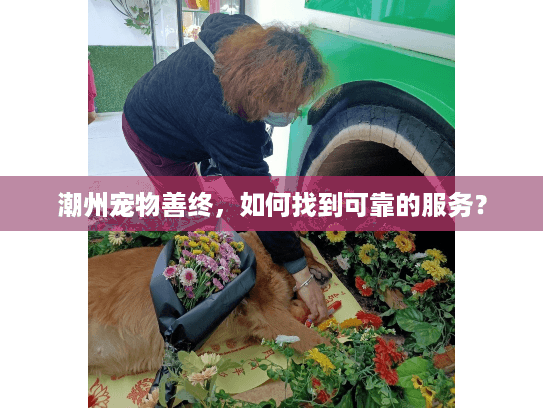 潮州宠物善终，如何找到可靠的服务？