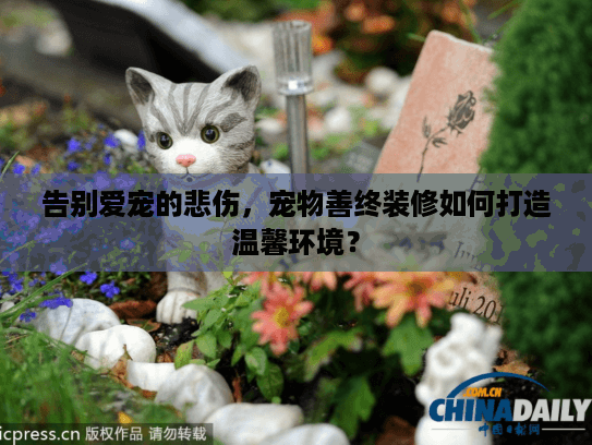 告别爱宠的悲伤，宠物善终装修如何打造温馨环境？