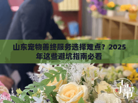 山东宠物善终服务选择难点？2025年这些避坑指南必看