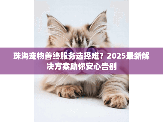珠海宠物善终服务选择难？2025最新解决方案助你安心告别