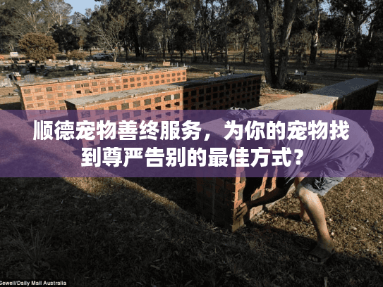 顺德宠物善终服务，为你的宠物找到尊严告别的最佳方式？