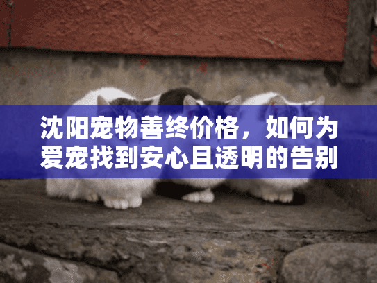 沈阳宠物善终价格，如何为爱宠找到安心且透明的告别服务？
