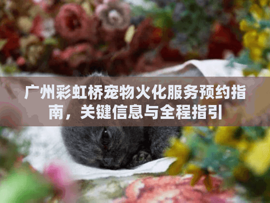 广州彩虹桥宠物火化服务预约指南，关键信息与全程指引