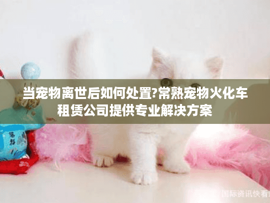 当宠物离世后如何处置?常熟宠物火化车租赁公司提供专业解决方案