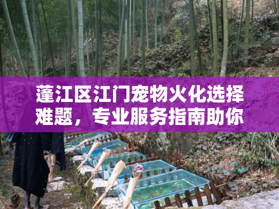 蓬江区江门宠物火化选择难题，专业服务指南助你安心