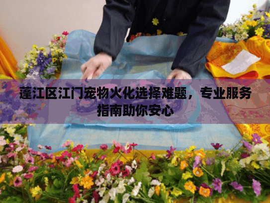 蓬江区江门宠物火化选择难题，专业服务指南助你安心
