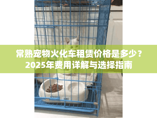 常熟宠物火化车租赁价格是多少？2025年费用详解与选择指南