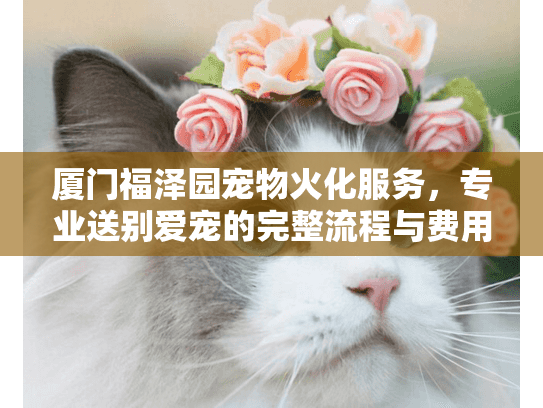 厦门福泽园宠物火化服务，专业送别爱宠的完整流程与费用明细
