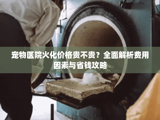 宠物医院火化价格贵不贵？全面解析费用因素与省钱攻略