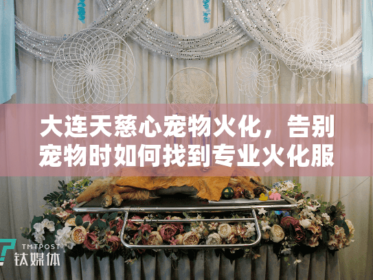 大连天慈心宠物火化，告别宠物时如何找到专业火化服务？