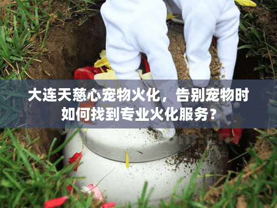 大连天慈心宠物火化，告别宠物时如何找到专业火化服务？