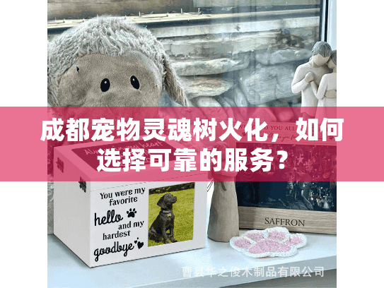 成都宠物灵魂树火化，如何选择可靠的服务？