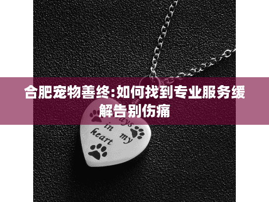 合肥宠物善终:如何找到专业服务缓解告别伤痛