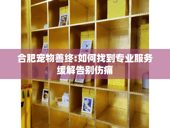 合肥宠物善终:如何找到专业服务缓解告别伤痛