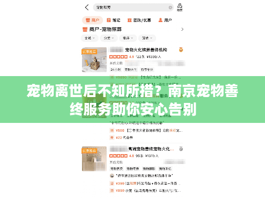 宠物离世后不知所措？南京宠物善终服务助你安心告别