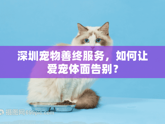 深圳宠物善终服务，如何让爱宠体面告别？