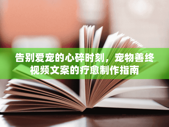 告别爱宠的心碎时刻，宠物善终视频文案的疗愈制作指南