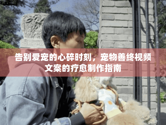 告别爱宠的心碎时刻，宠物善终视频文案的疗愈制作指南