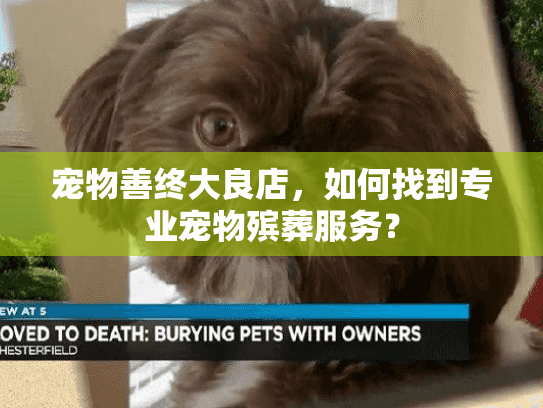 宠物善终大良店，如何找到专业宠物殡葬服务？