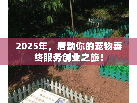 2025年，启动你的宠物善终服务创业之旅！