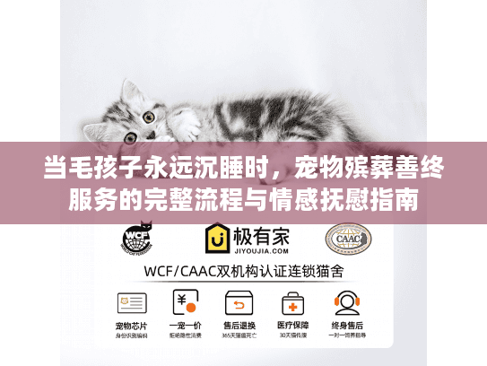 当毛孩子永远沉睡时，宠物殡葬善终服务的完整流程与情感抚慰指南