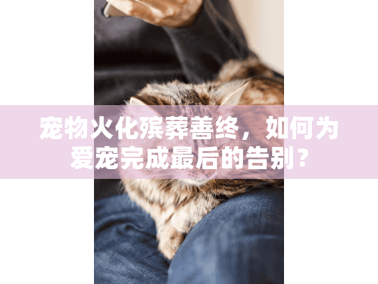 宠物火化殡葬善终，如何为爱宠完成最后的告别？