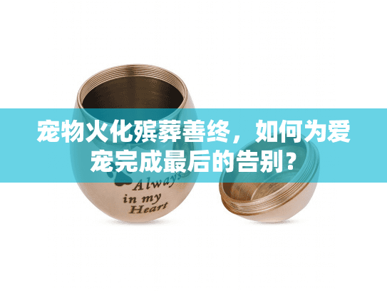 宠物火化殡葬善终，如何为爱宠完成最后的告别？