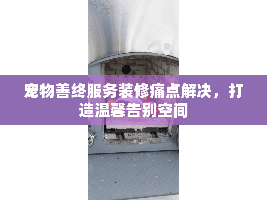 宠物善终服务装修痛点解决，打造温馨告别空间