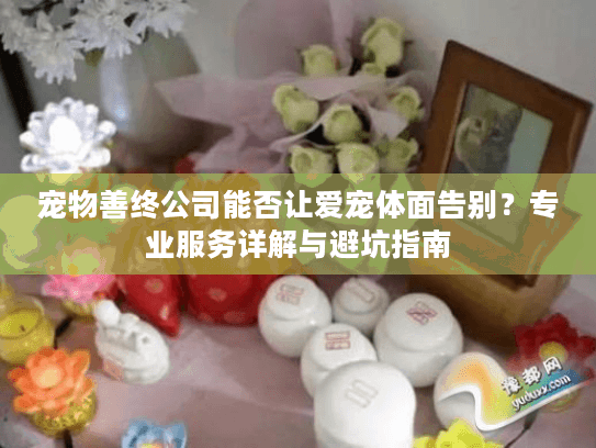 宠物善终公司能否让爱宠体面告别？专业服务详解与避坑指南