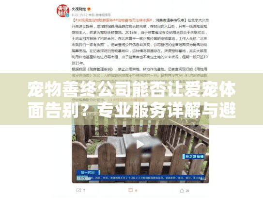 宠物善终公司能否让爱宠体面告别？专业服务详解与避坑指南