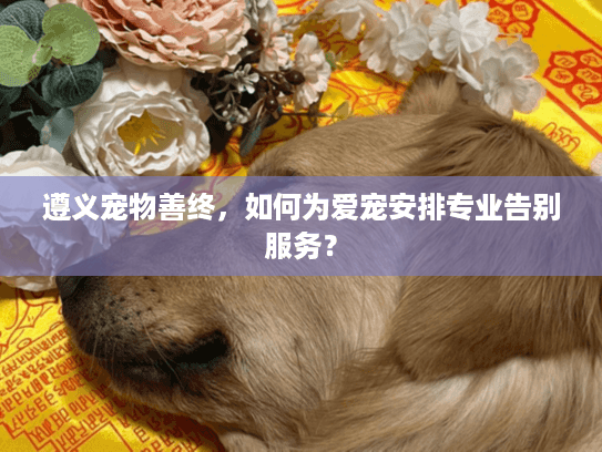 遵义宠物善终，如何为爱宠安排专业告别服务？