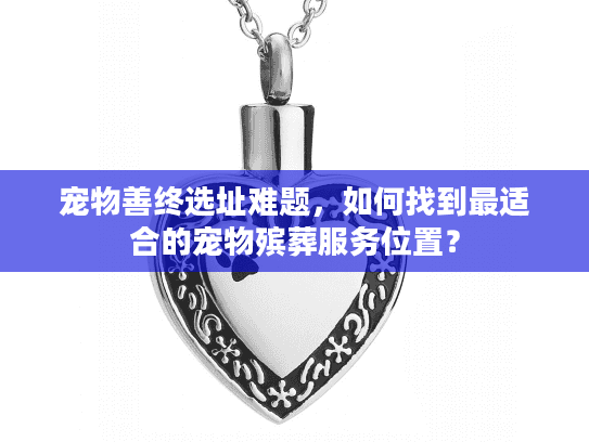 宠物善终选址难题，如何找到最适合的宠物殡葬服务位置？