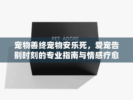 宠物善终宠物安乐死，爱宠告别时刻的专业指南与情感疗愈