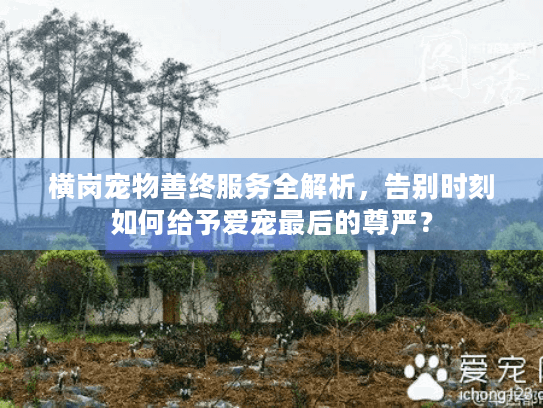 横岗宠物善终服务全解析，告别时刻如何给予爱宠最后的尊严？