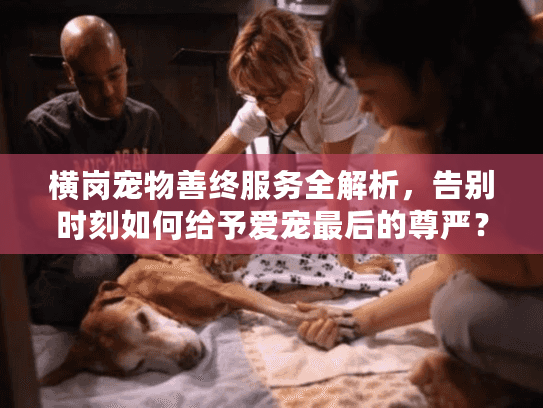 横岗宠物善终服务全解析，告别时刻如何给予爱宠最后的尊严？