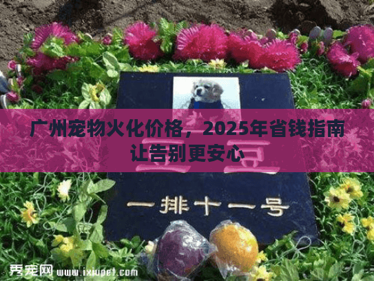 广州宠物火化价格，2025年省钱指南让告别更安心