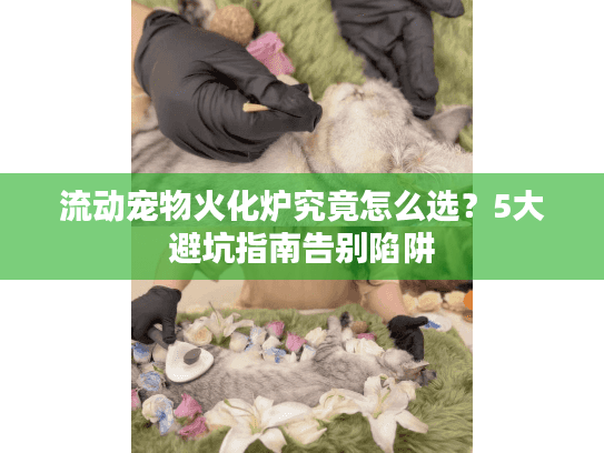 流动宠物火化炉究竟怎么选？5大避坑指南告别陷阱