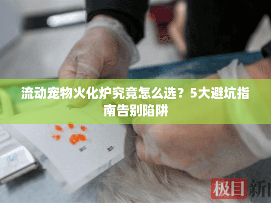 流动宠物火化炉究竟怎么选？5大避坑指南告别陷阱