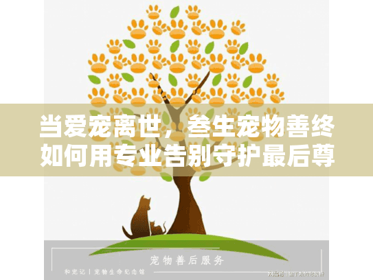 当爱宠离世，叁生宠物善终如何用专业告别守护最后尊严？