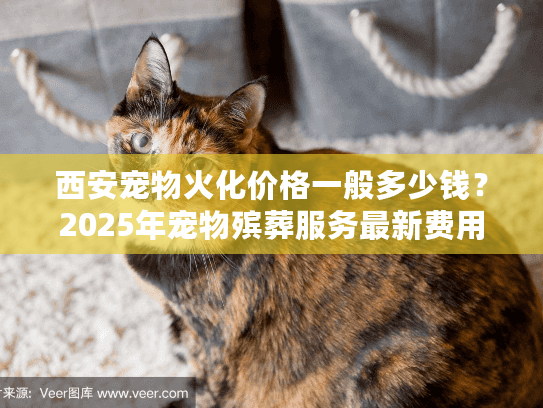 西安宠物火化价格一般多少钱？2025年宠物殡葬服务最新费用解析