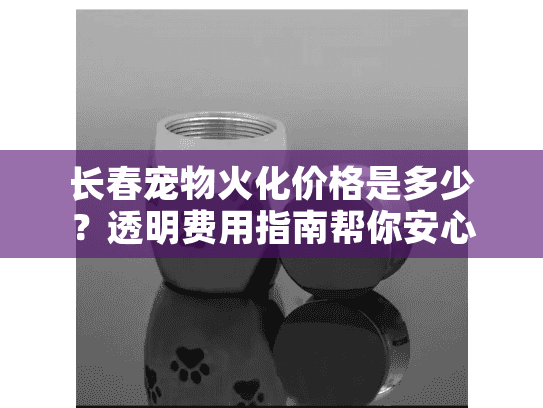 长春宠物火化价格是多少？透明费用指南帮你安心决策