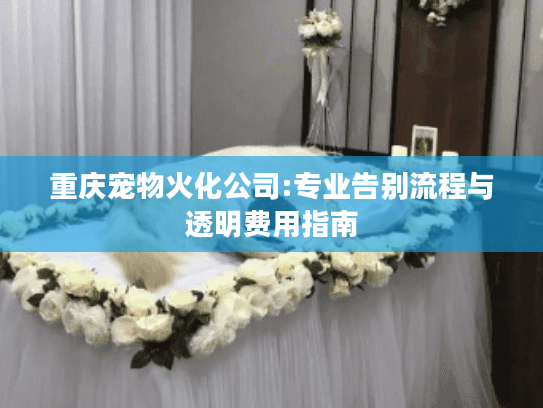 重庆宠物火化公司:专业告别流程与透明费用指南