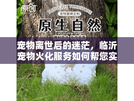 宠物离世后的迷茫，临沂宠物火化服务如何帮您实现体面告别？