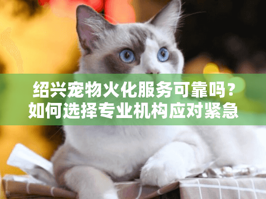 绍兴宠物火化服务可靠吗？如何选择专业机构应对紧急需求？