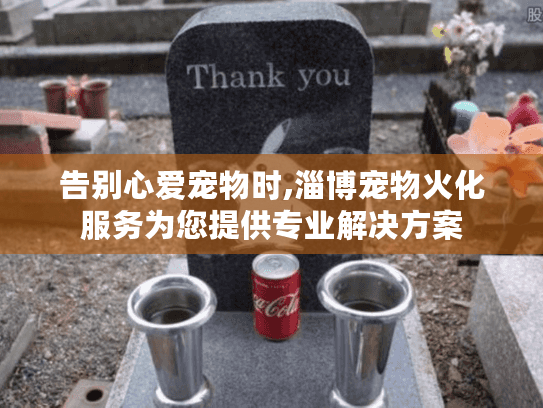 告别心爱宠物时,淄博宠物火化服务为您提供专业解决方案