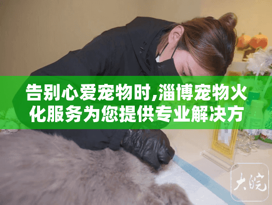 告别心爱宠物时,淄博宠物火化服务为您提供专业解决方案