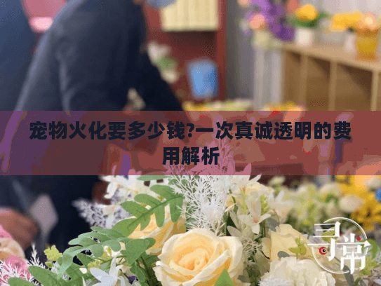 宠物火化要多少钱?一次真诚透明的费用解析