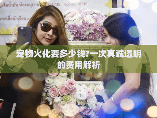 宠物火化要多少钱?一次真诚透明的费用解析