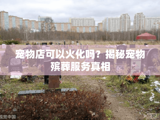 宠物店可以火化吗？揭秘宠物殡葬服务真相