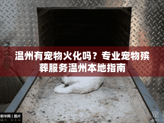 温州有宠物火化吗？专业宠物殡葬服务温州本地指南